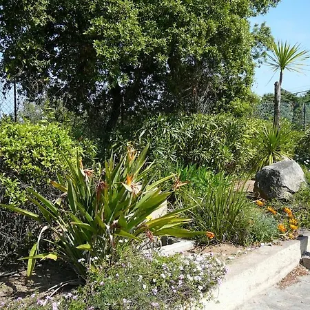 Apartment Residences De Salduccio - Calvi Corse *